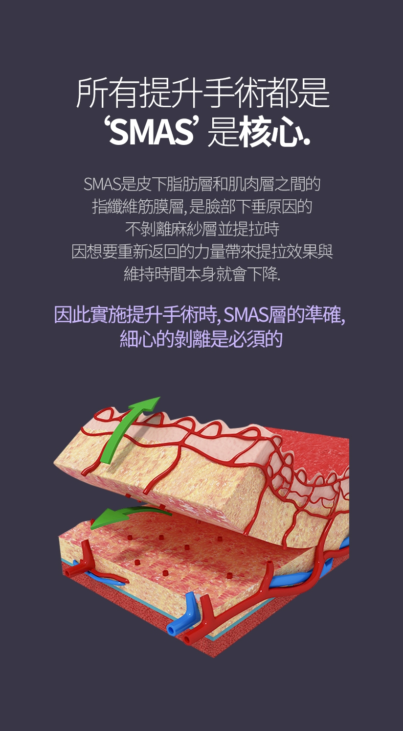 所有提升手術都是 SMAS 是核心 SMAS是皮下脂肪層和肌肉層之間的 指纖維筋膜層，是臉部下垂原因的 不剝離麻紗層並提拉時 因想要重新返回的力量帶來提拉效果與 維持時間本身就會下降。因此實施提升手術時，SMAS層的準確、細心的剝離是必須的。